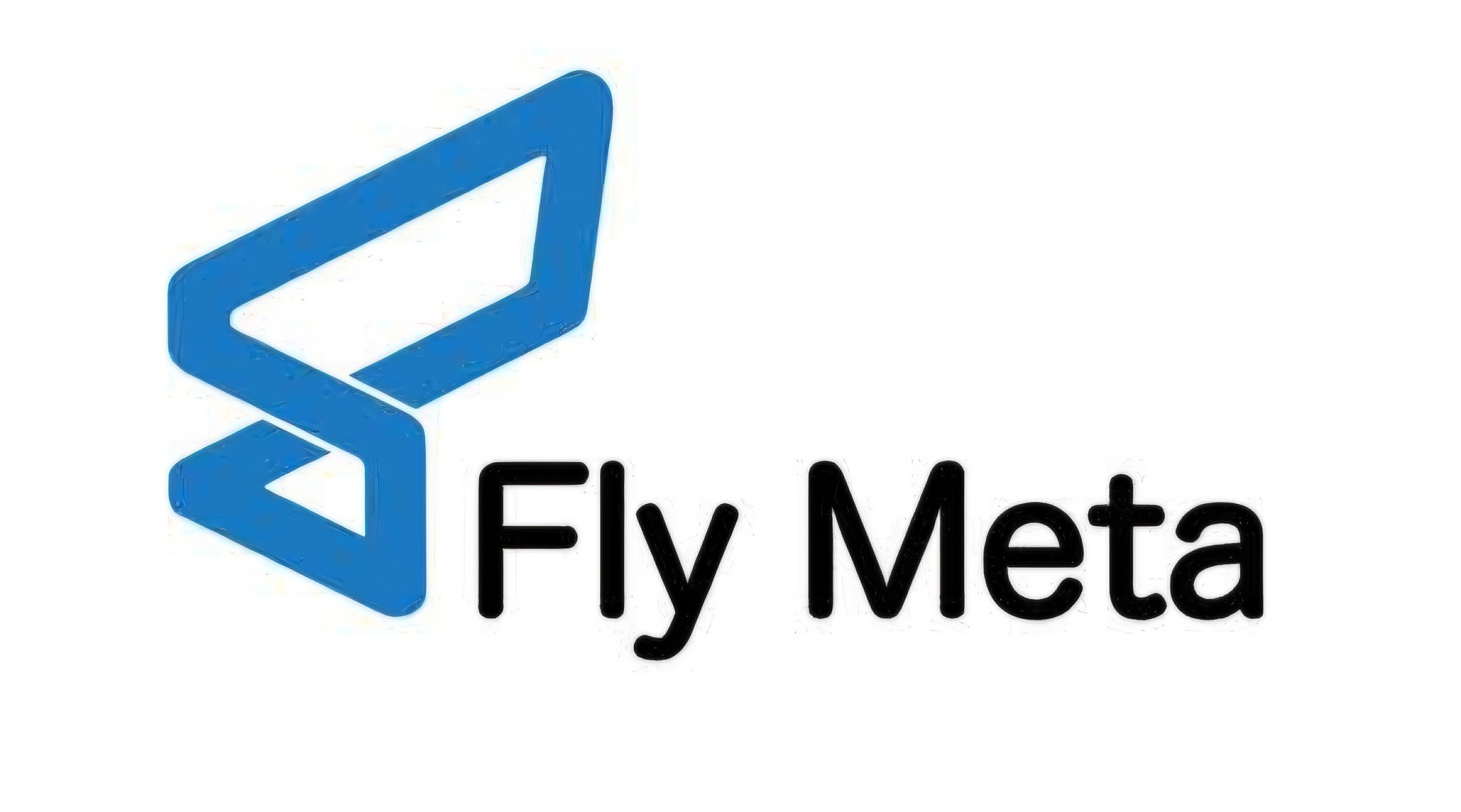 Fly Meta
